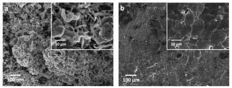 中科院研發(fā)全新隔膜 鋰電池安全了：內(nèi)部不再“長(zhǎng)刺”