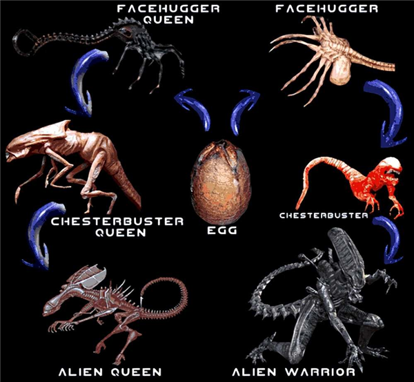 45年了！異形還是能把人類(lèi)嚇出陰影