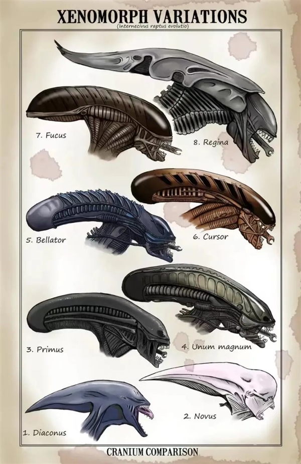 45年了！異形還是能把人類(lèi)嚇出陰影