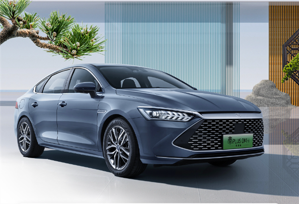 2024年中國(guó)人愛買的20款車出爐：比亞迪7.98萬神車奪冠