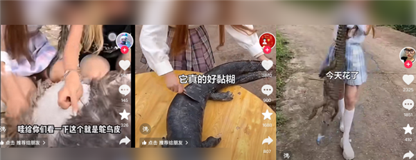 370斤的百萬(wàn)粉絲暴食博主：“騙”了全世界長(zhǎng)達(dá)兩年