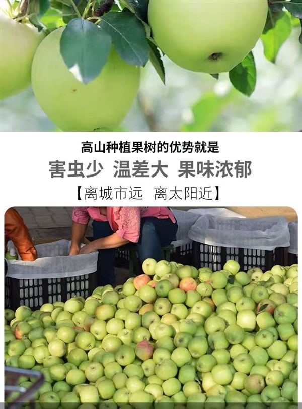 產(chǎn)地直銷！陜西青蘋果5斤13.8元、徐香獼猴桃20枚14.8元