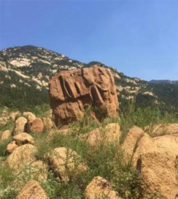 我們身邊竟然藏著這么多“偽裝者”