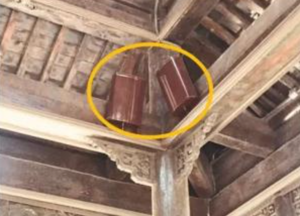 我們身邊竟然藏著這么多“偽裝者”