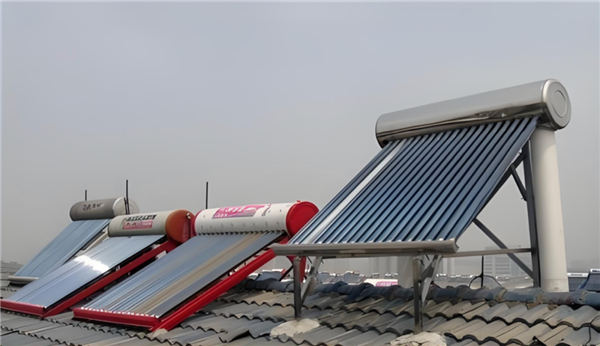 我們身邊竟然藏著這么多“偽裝者”