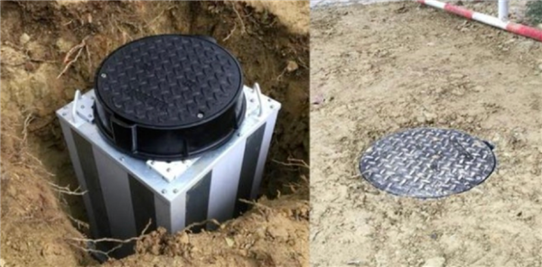 我們身邊竟然藏著這么多“偽裝者”