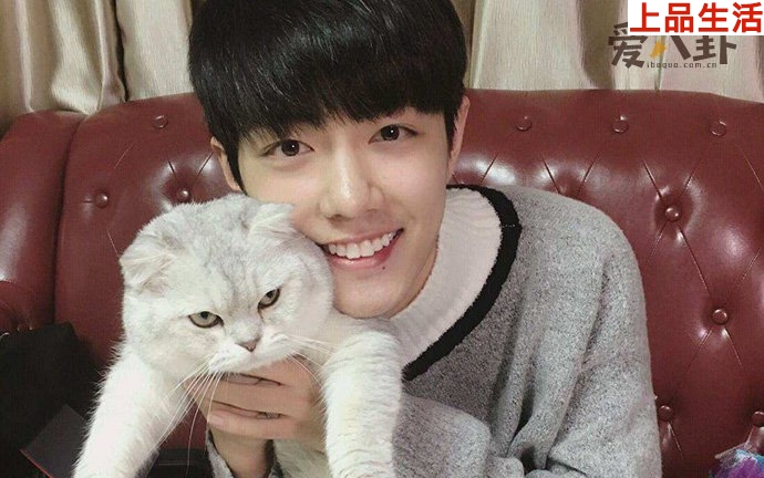 肖戰(zhàn)粉絲為何稱不看都能知曉其回應(yīng)內(nèi)容