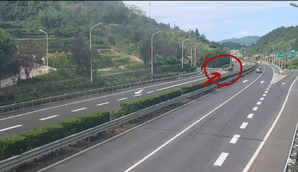 18年駕齡老司機(jī)高速掉頭逆行：車沒油了