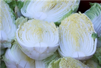 一顆賣到80元人民幣吃不起 韓國人用卷心菜娃娃菜代替大白菜