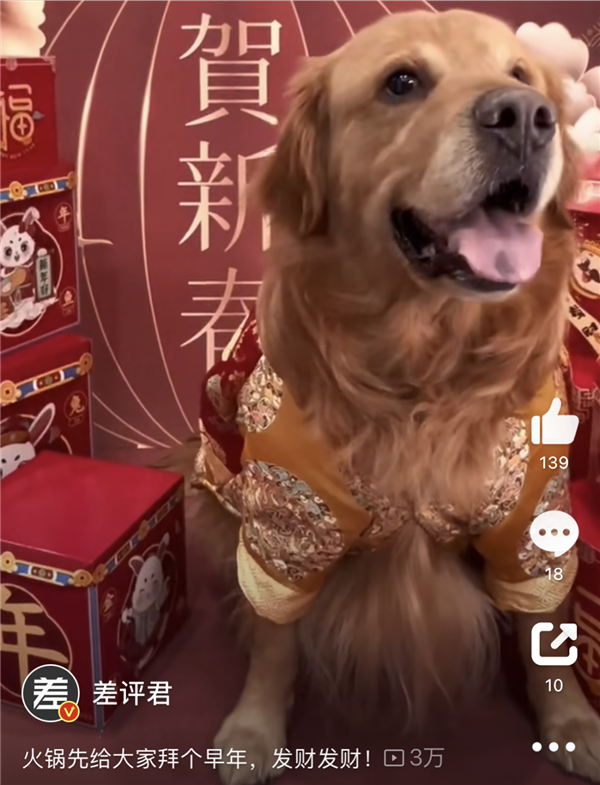 火了6年后 國潮開始塌房了