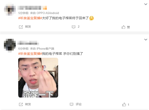 超10萬人觀看！2500萬粉絲網紅聽泉鑒寶復播 網友：電子榨菜回歸