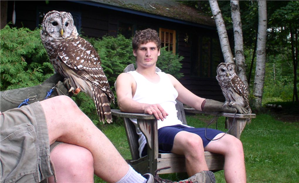 搶完地盤搶伴侶！美國怒殺45萬只外來貓頭鷹