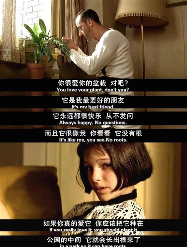 時隔30年！電影《這個殺手不太冷》今日首次在中國內(nèi)地上映