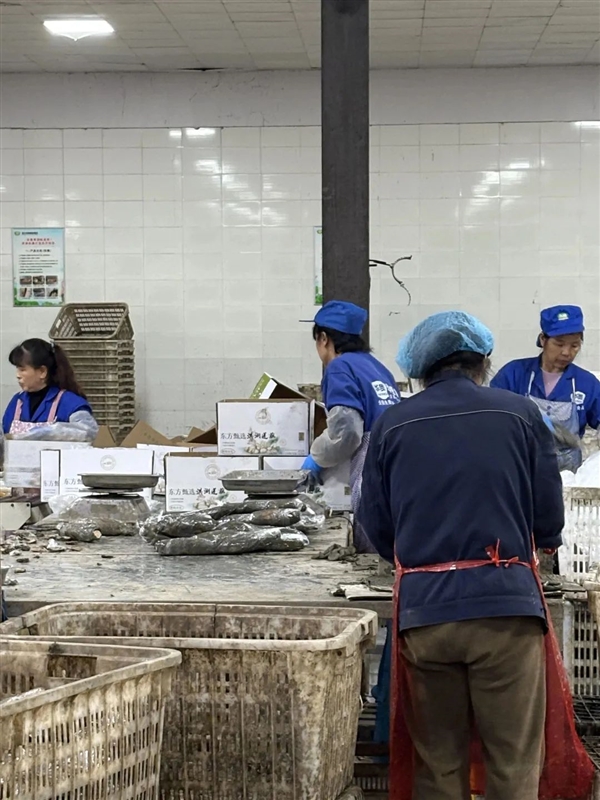 新疆的海鮮、甘肅的蝦 農(nóng)業(yè)大摸底太精彩了