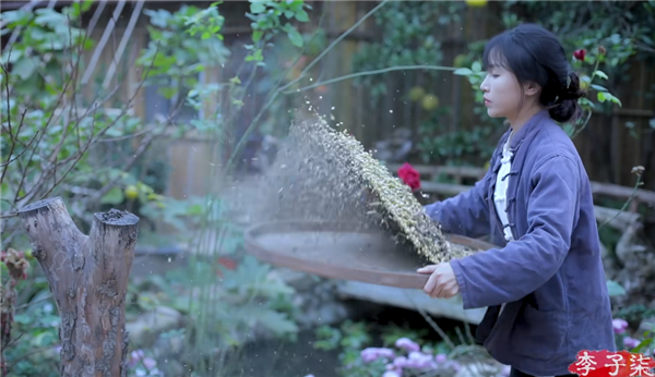 消失三年 復出還是頂流！李子柒為何無法替代