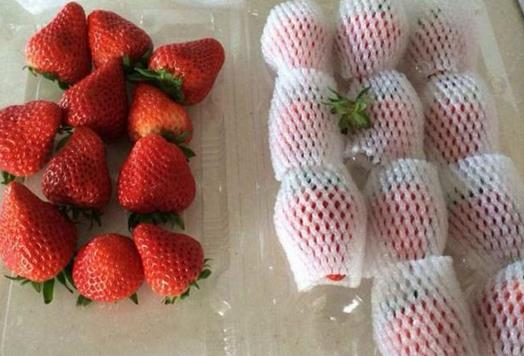 新疆的海鮮、甘肅的蝦 農(nóng)業(yè)大摸底太精彩了