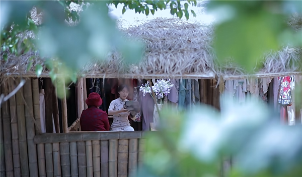 消失三年 復出還是頂流！李子柒為何無法替代