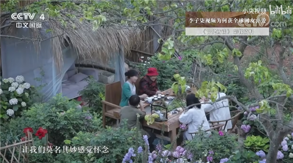 消失三年 復出還是頂流！李子柒為何無法替代