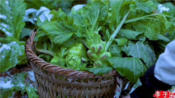 消失三年 復出還是頂流！李子柒為何無法替代