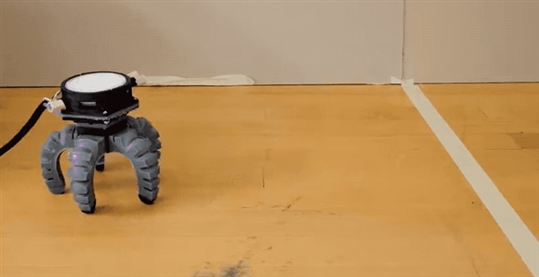 搞笑諾獎(jiǎng)已經(jīng)過氣了 整活還得看我們菠蘿科學(xué)獎(jiǎng)！