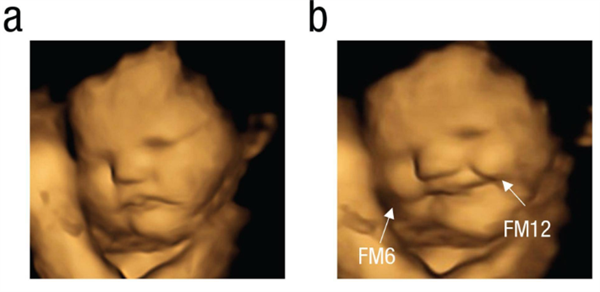 搞笑諾獎(jiǎng)已經(jīng)過氣了 整活還得看我們菠蘿科學(xué)獎(jiǎng)！