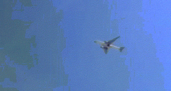 國(guó)航一飛機(jī)降落時(shí)撞到鳥(niǎo)群：機(jī)頭可見(jiàn)清晰血跡