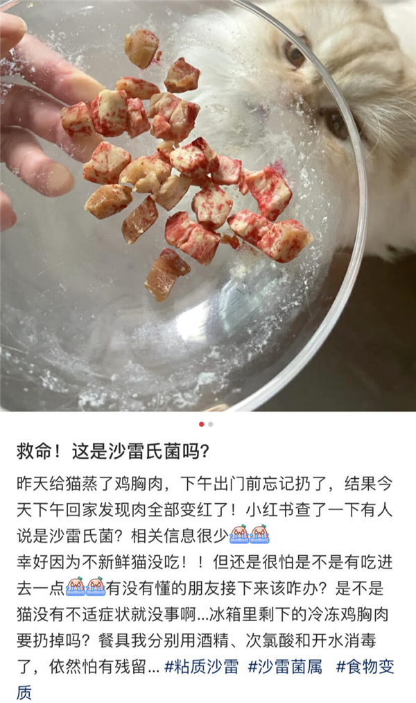 好可怕！為什么馬桶里總是有一圈紅色啊啊啊