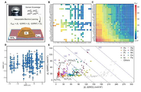中國科學家用AI破解50年難題