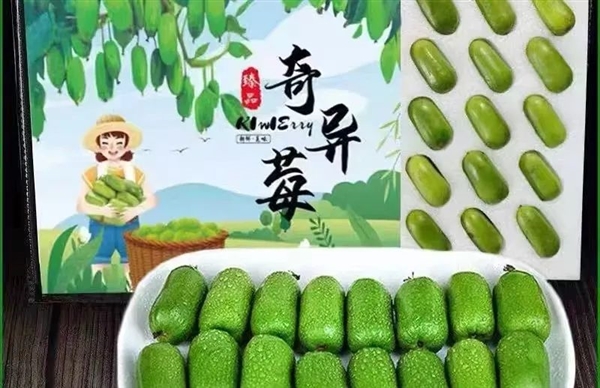 維C含量是橙子6倍！這種長得像棗的水果 竟是獼猴桃