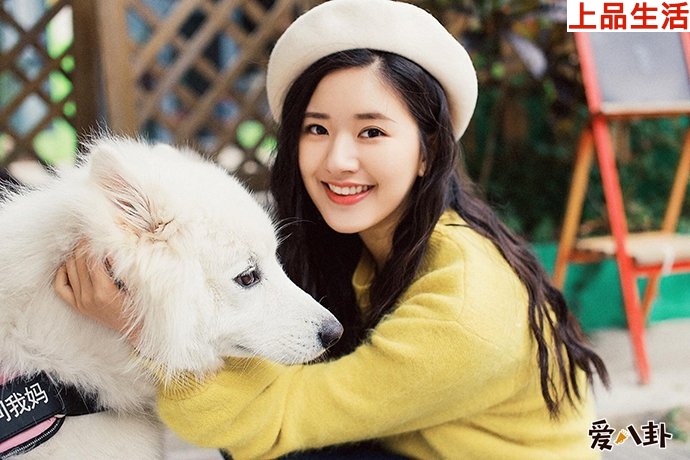 起底趙露思從網(wǎng)紅到演員的成名之路