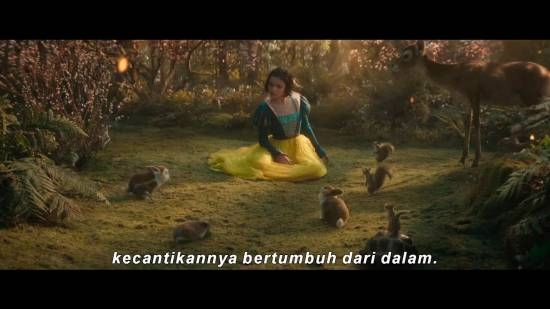 真人《白雪公主》新預告發(fā)布！拉丁公主你期待么