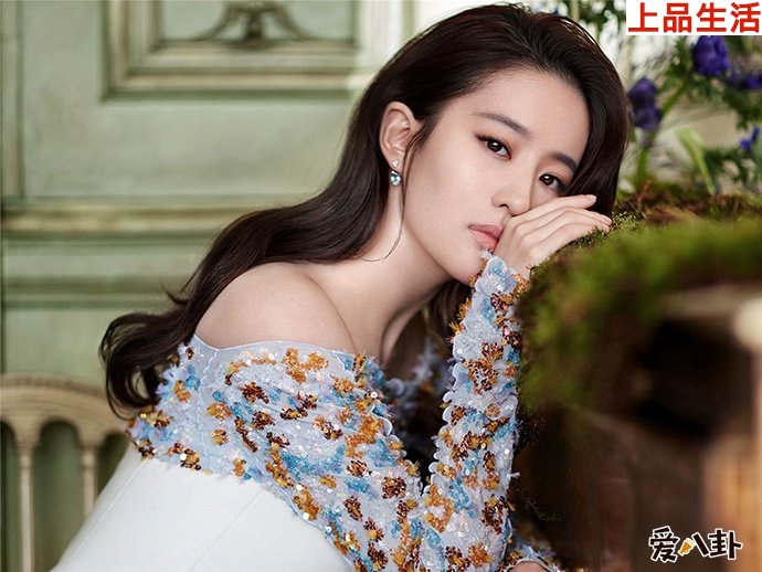 楊冪告劉亦菲粉絲維權(quán)