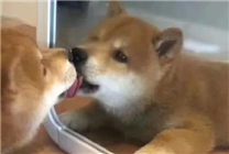 微信推出這個(gè)送禮功能 到底好不好用