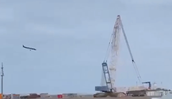 阿航客機(jī)墜毀致38人遇難 事故原因或與鳥群相撞 專家分析