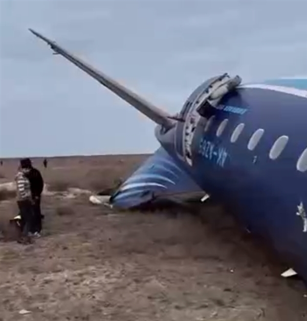 阿航客機(jī)墜毀致38人遇難 事故原因或與鳥群相撞 專家分析