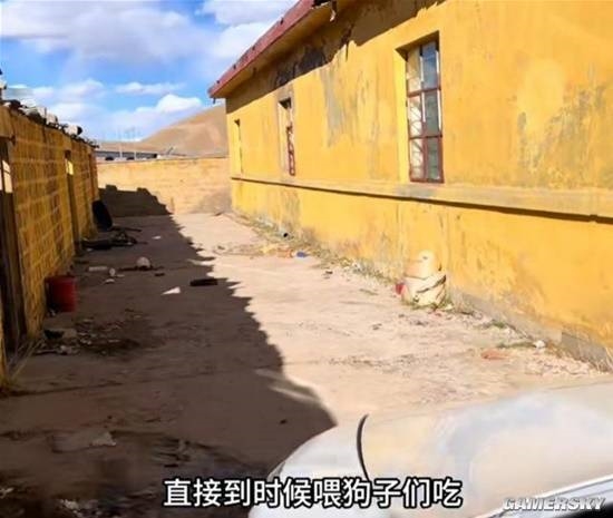 女網(wǎng)紅拿無人區(qū)救命糧喂狗 被質(zhì)問后稱遭到了網(wǎng)暴