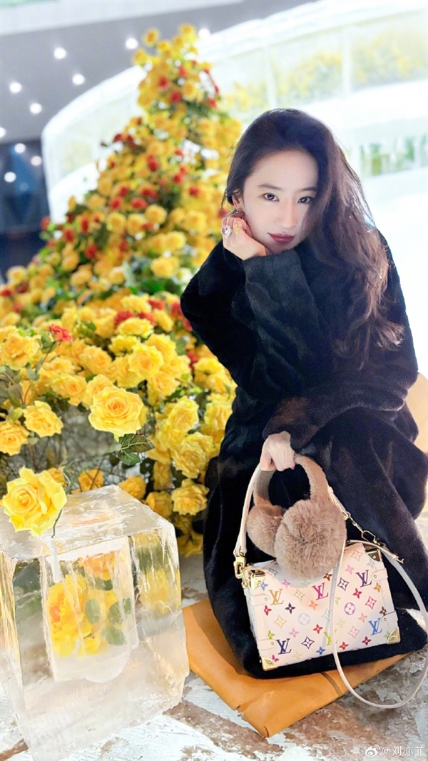 說去就去！劉亦菲去哈爾濱看冰封黃玫瑰：美麗凍人