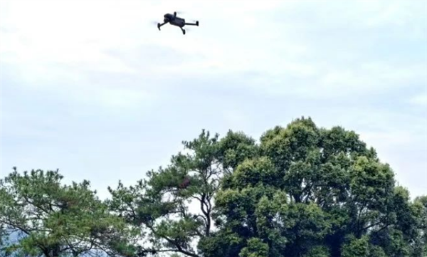 村民16只羊走丟6天：被無人機(jī)找回18只