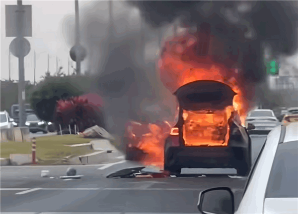 特斯拉夜間高速撞車：整車自燃起火 還伴有爆炸聲