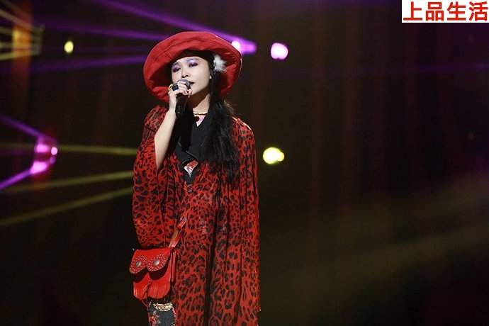 許美靜是曾經的樂壇天后