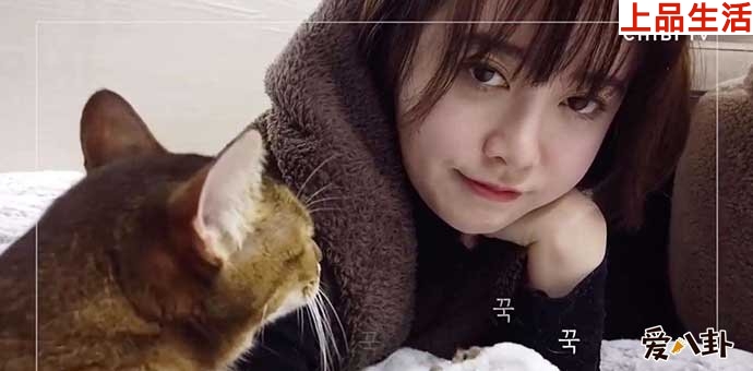 具惠善或?qū)㈦[退的原因