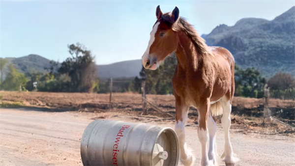 AI輸給了一匹馬 OpenAI首度亮相“美國春晚”遭差評