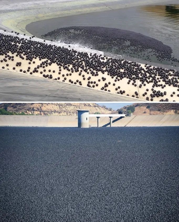 有什么用 美國(guó)在洛杉磯大水庫(kù)中投放9600萬(wàn)個(gè)黑色小球