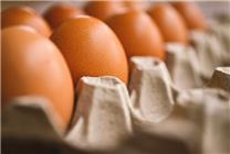 美國多商家雞蛋限購引熱議：美國人想吃個(gè)雞蛋不是搶就是靠偷