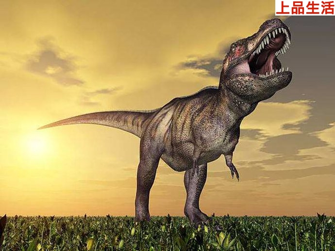 該恐龍?bào)w長(zhǎng)約達(dá)7.5米