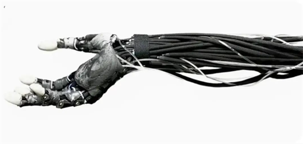 外觀驚悚！波蘭發(fā)布可雙足行走肌肉骨骼機(jī)器人