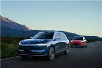 賽力斯法務部：武某某編造散布問界事故致人死亡 已被公安機關處罰