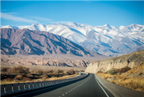 高速上違?？粗辈?司機(jī)稱霧太大休息會兒 9分沒了