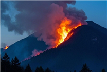 日本遭遇50年來嚴重山火：過火面積相當于3600個足球場