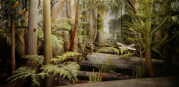 亞洲大露天煤礦 百米厚煤層足足開采了118年！古代植物咋都埋那了